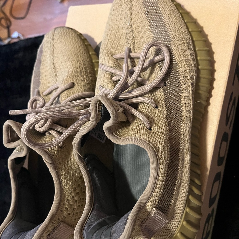 Yeezy Boost 350 v2 in Earth